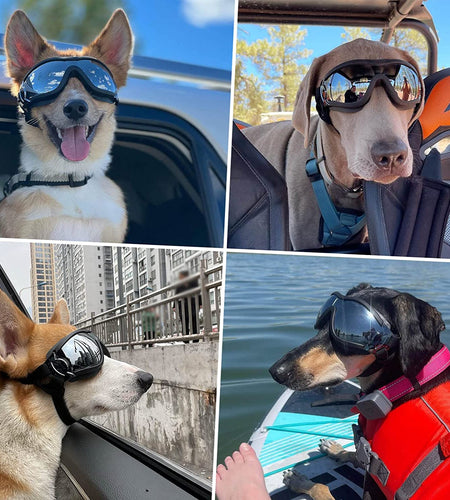 Dog Goggles Large Breed, Large Dog Sunglasses Eye Protection for Dogs Windproof Goggles for Medium Large Dog Riding Biking Driving, Black