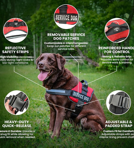 Service Dog in Training Vest with Hook and Loop Straps and Handle - Harnesses in Sizes from XXS to XXL - Service Dog Vest Harness Features Reflective Patch and Comfortable Mesh Design