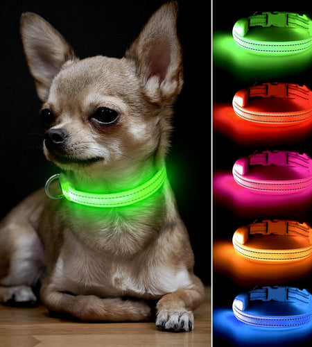 Light up Dog Collars - Adjustable Puppy Collar, Rechargeable LED Dog Collar for Small Dogs, Adjustable Cat Collar, Glowing Dog Lights for Night Walking (Green, XS)