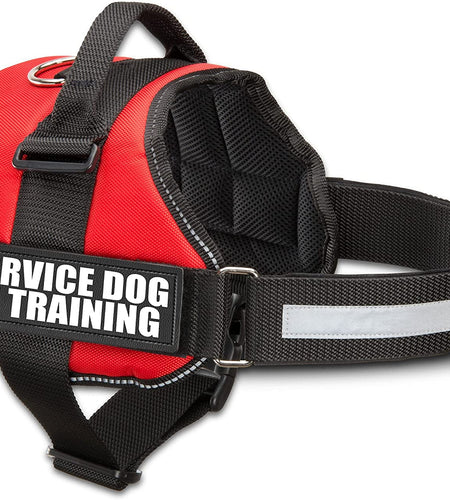 Service Dog in Training Vest with Hook and Loop Straps and Handle - Harnesses in Sizes from XXS to XXL - Service Dog Vest Harness Features Reflective Patch and Comfortable Mesh Design