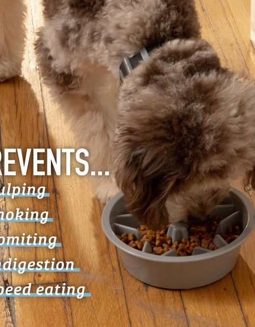 Load image into Gallery viewer, Leashboss Slow Feeder Dog Bowls - Cup Maze Puzzle Food Bowl with Feeder Holes, Fits into Elevated Pet Feeders - Slow Eating for Large, Medium &amp; Small Sized Breeds (2 Cup - 7.5-8 Inch Feeder Holes)
