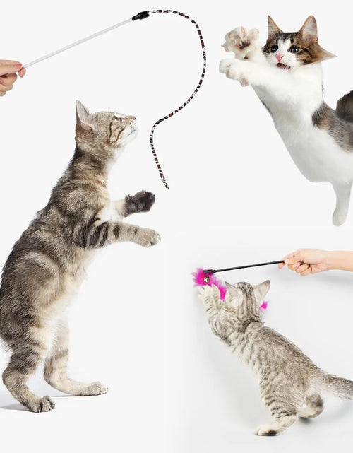 Load image into Gallery viewer, 32 Pcs Cat Toys Kitten Toys, Interactive Variety Catnip Toys with Collapsible Rainbow Tunnel, Cat Feather Teaser Crinkle Balls Spring Toy for Cat, Kitty, Puppy
