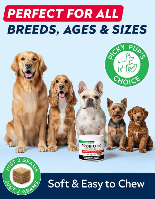 Load image into Gallery viewer, Probiotics Chews for Dogs &amp; Digestive Enzymes + Digestion &amp; Gut Health Treats, Probiotics for Dogs, Fiber Supplement, anti Diarrhea, Constipation, Upset Stomach&amp;Gas Relief,Canine Prebiotic
