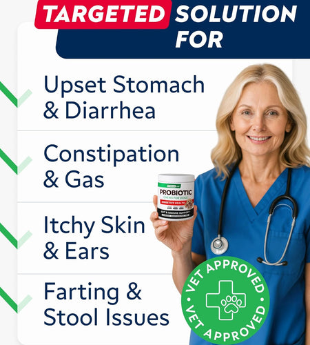 Probiotics Chews for Dogs & Digestive Enzymes + Digestion & Gut Health Treats, Probiotics for Dogs, Fiber Supplement, anti Diarrhea, Constipation, Upset Stomach&Gas Relief,Canine Prebiotic